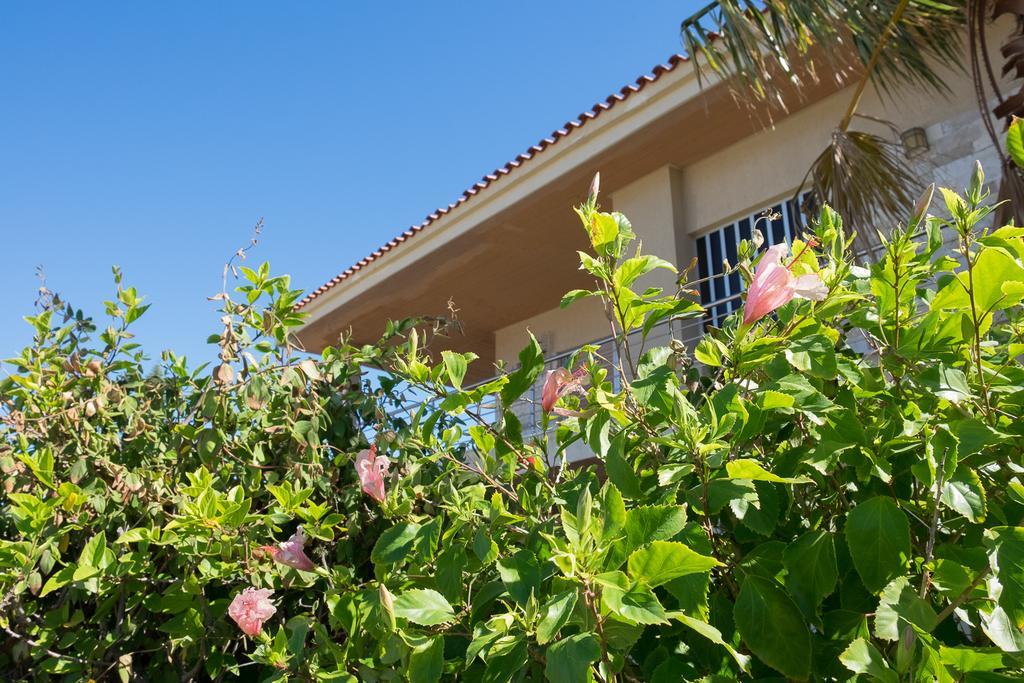 Sunset Beach House كاتو أليبوخوريون المظهر الخارجي الصورة